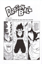 Charger l'image dans la galerie, DRAGON BALL PERFECT EDITION - TOME 34