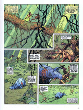 Charger l'image dans la galerie, LA QUETE DE L'OISEAU DU TEMPS - TOME 3 - RIGE (LE)