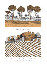 Charger l'image dans la galerie, NOIRE VIE MECONNUE DE CLAUDETTE COLVIN