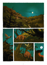 Charger l'image dans la galerie, Le fils de l'Ursari