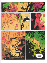 Charger l'image dans la galerie, CHARLOTTE IMPERATRICE - T02 - L'EMPIRE