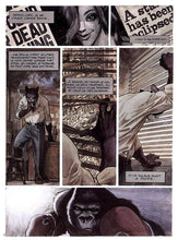 Charger l'image dans la galerie, BLACKSAD - T1 QUELQUE PART ENTRE LES OMBRES -