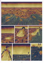 Charger l'image dans la galerie, CARBONE & SILICIUM