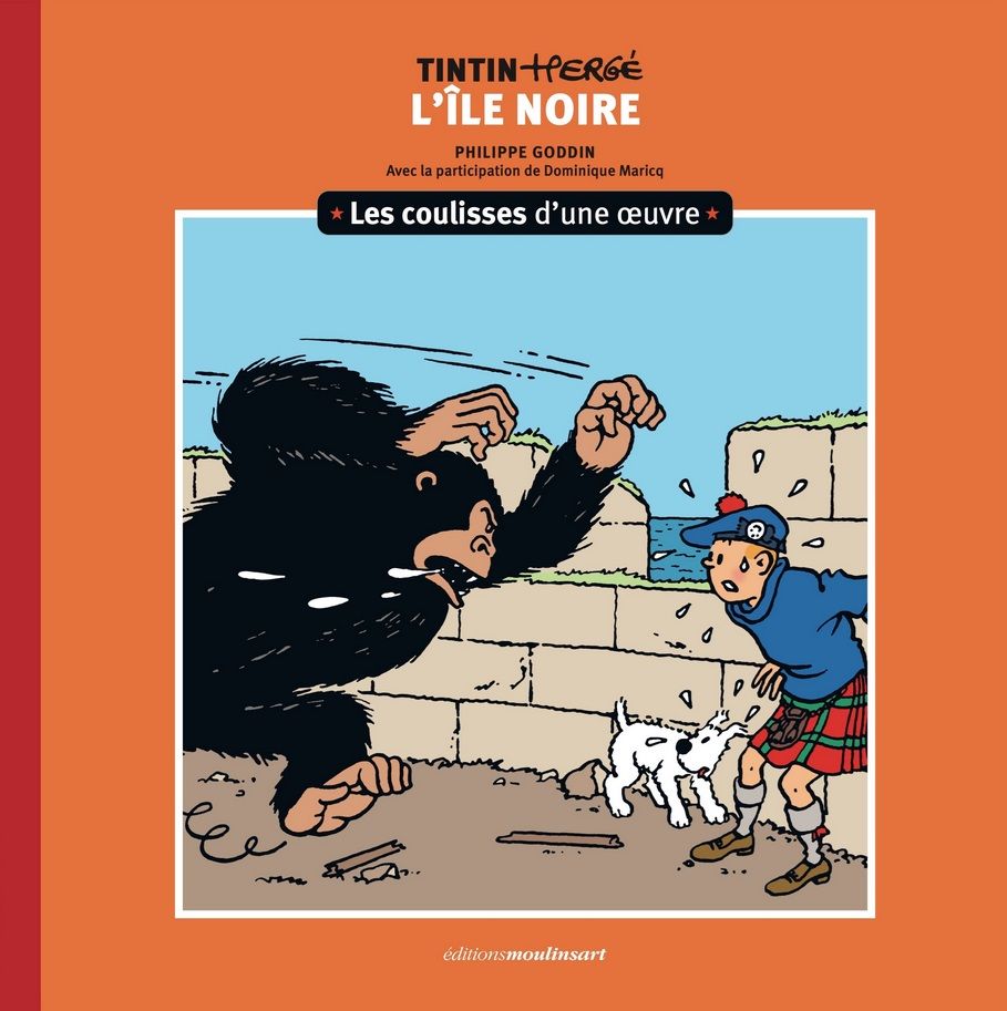 LES COULISSES D'UNE OEUVRE - T07 - LES COULISSES D'UNE OEUVRE -7 - VOL07 - L'ILE NOIRE