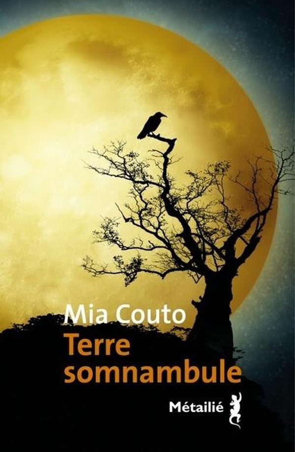 TERRE SOMNAMBULE