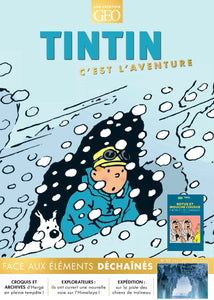 TINTIN C'EST L'AVENTURE 22 - FACE AUX ELEMENTS - OFFRE JUMELEE