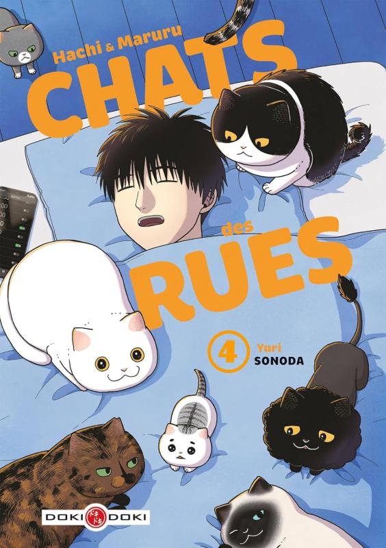 HACHI & MARURU - CHATS DES RUES - T04 - HACHI & MARURU - CHATS DES RUES - VOL. 04