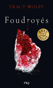 ASSOIFFES - TOME 2 FOUDROYES