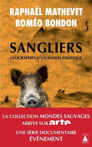 SANGLIERS, GEOGRAPHIES D'UN ANIMAL POLITIQUE