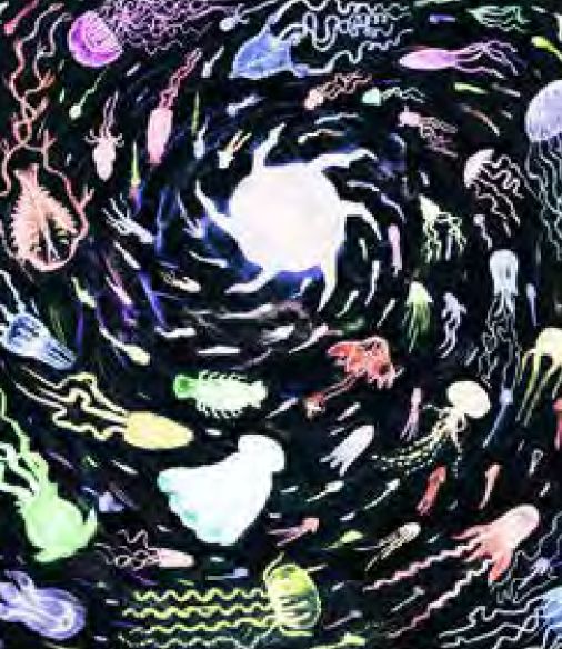LE REPAIRE DE LA MEDUSE