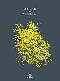 LE SILLON - PRIX RENAUDOT 2018