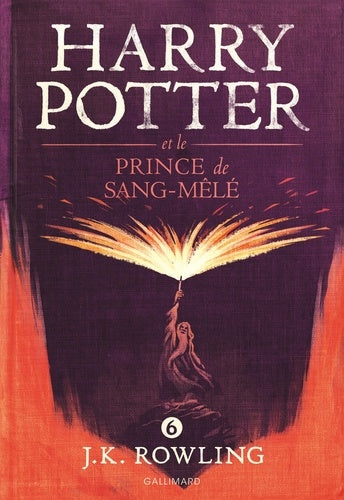 HARRY POTTER, VI : HARRY POTTER ET LE PRINCE DE SANG-MELE