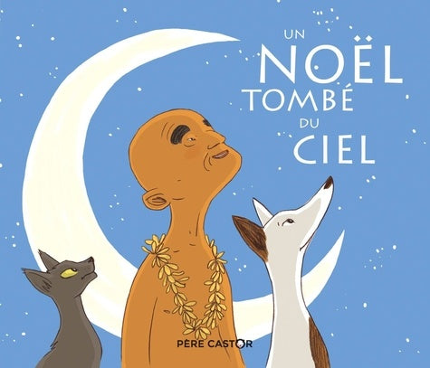 UN NOEL TOMBE DU CIEL