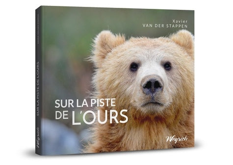 SUR LA PISTE DE L'OURS