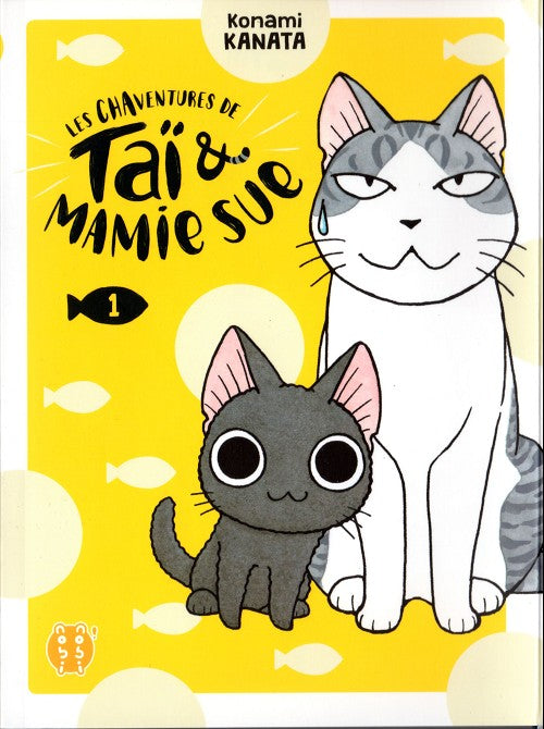 LES CHAVENTURES DE TAI ET MAMIE SUE T01