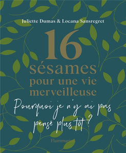16 SESAMES POUR UNE VIE MERVEILLEUSE - POURQUOI JE N'Y AI PAS PENSE PLUS TOT ?