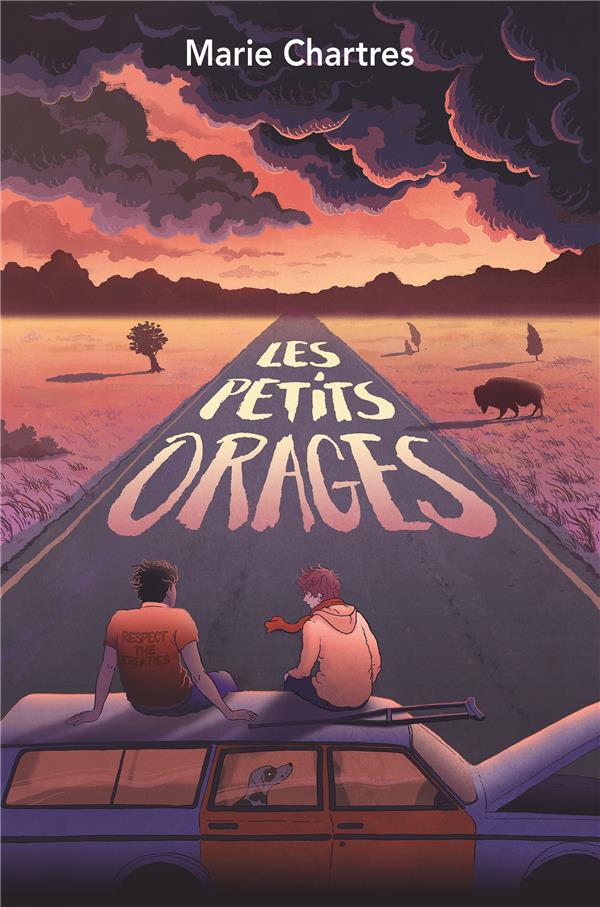 PETITS ORAGES (POCHE) (LES)