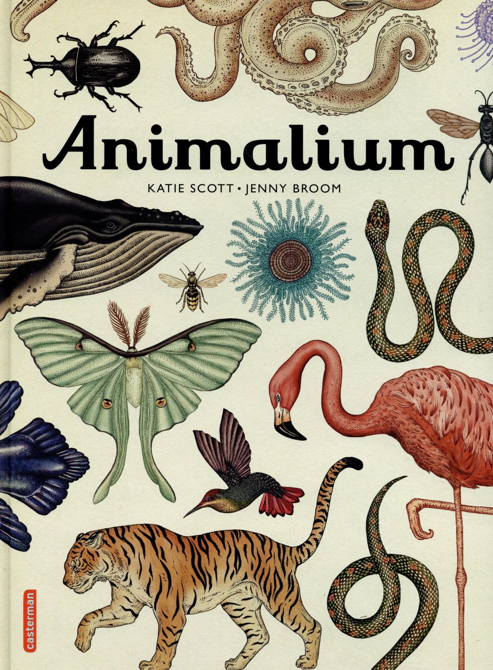 ANIMALIUM