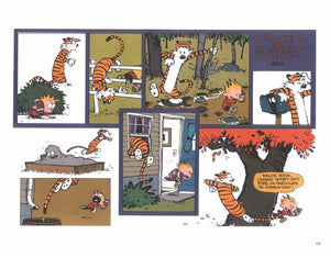 CALVIN & HOBBES ORIGINAL - TOME 8